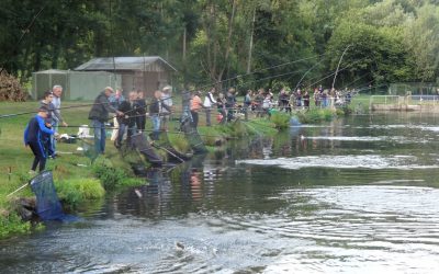Lâcher de truites
