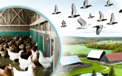 Arrêté Grippe aviaire Mai 2025