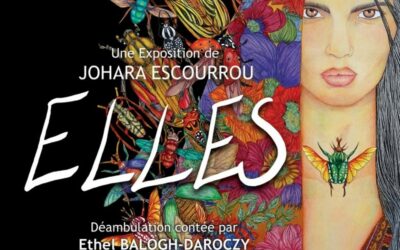 Exposition de Johara Escourrou