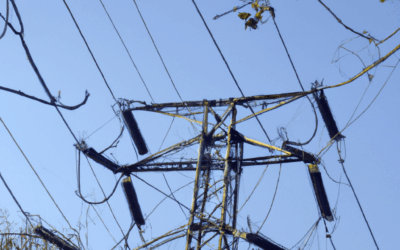 Enedis – Elagage